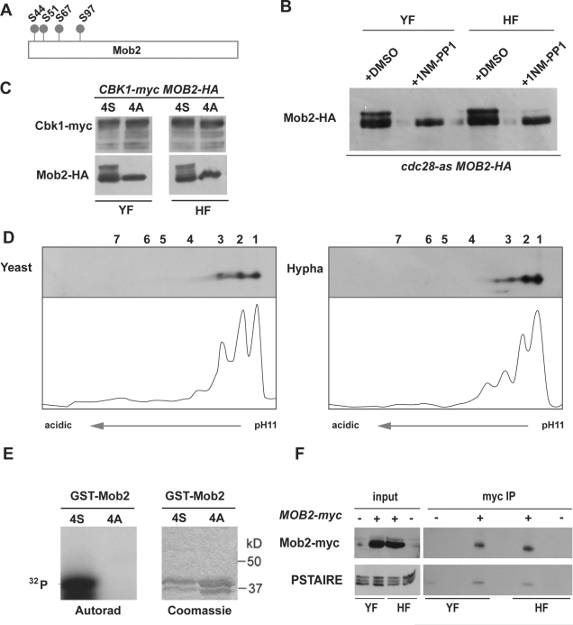 FIGURE 4: