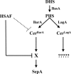 Figure 10.