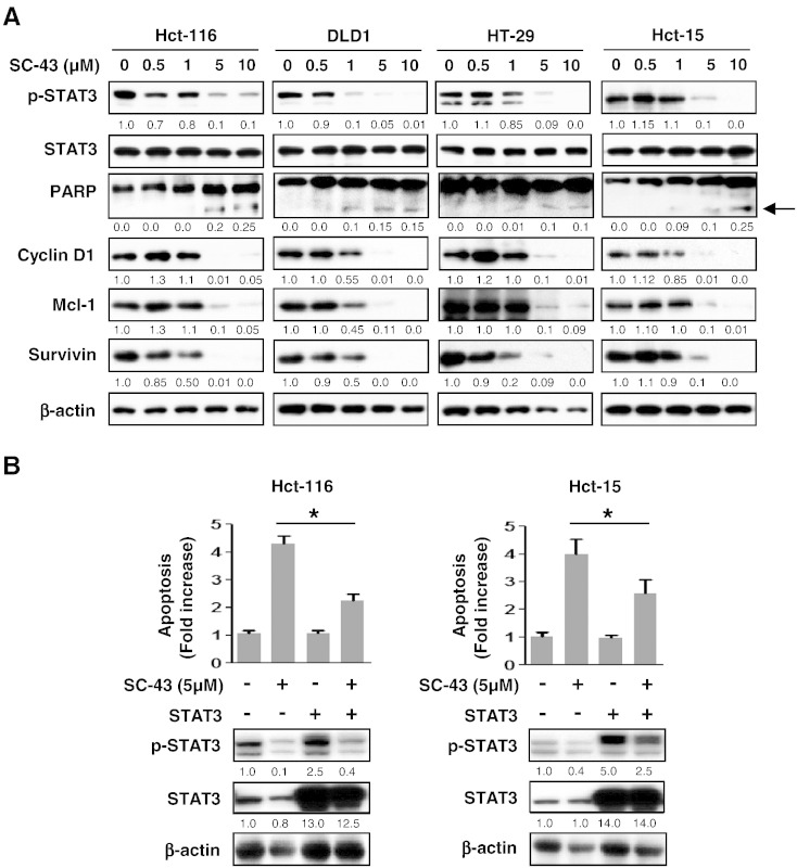 Figure 2