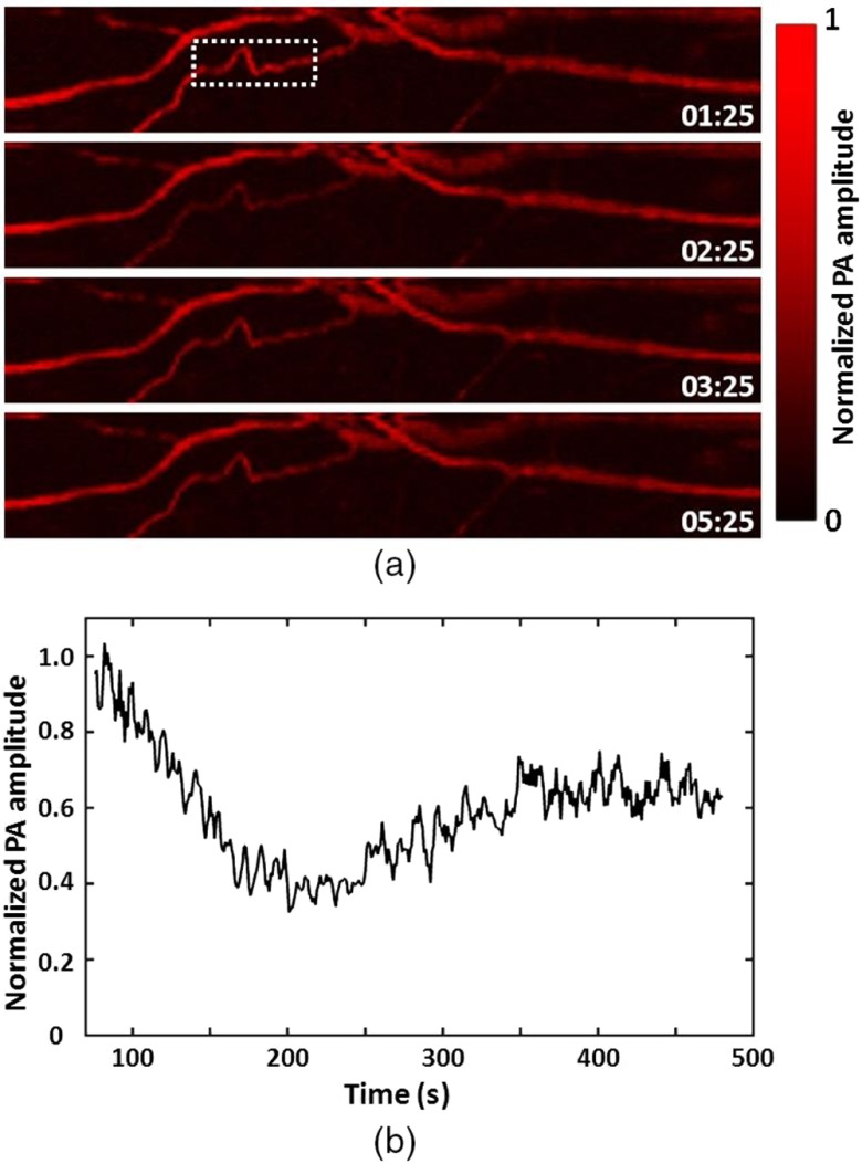 Fig. 4