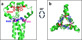 Fig 7