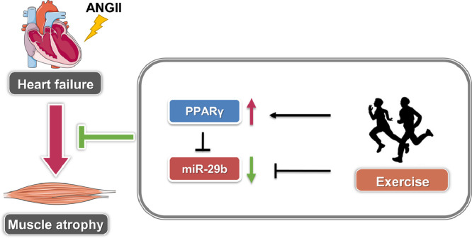 Image, graphical abstract