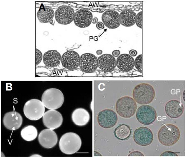 Fig. 4.