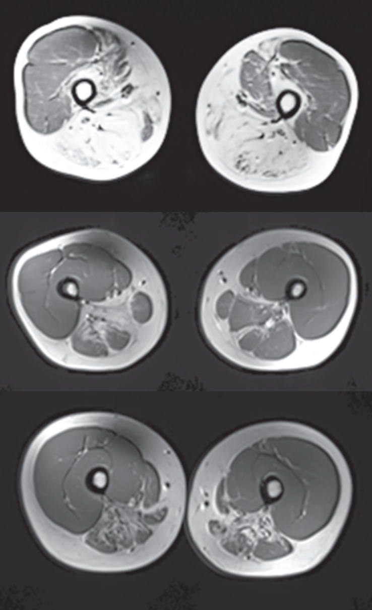 Fig.5