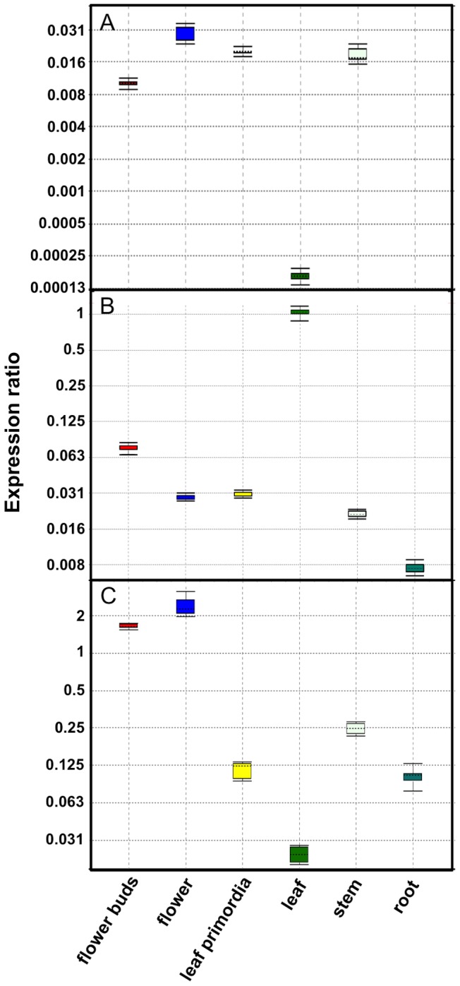 Figure 7