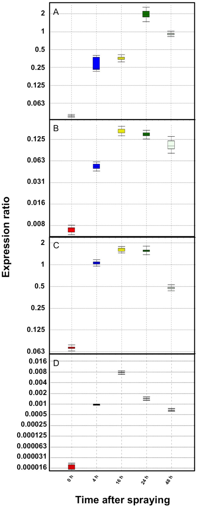 Figure 11