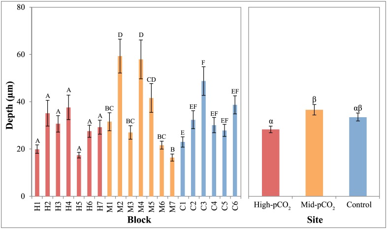 Fig 5