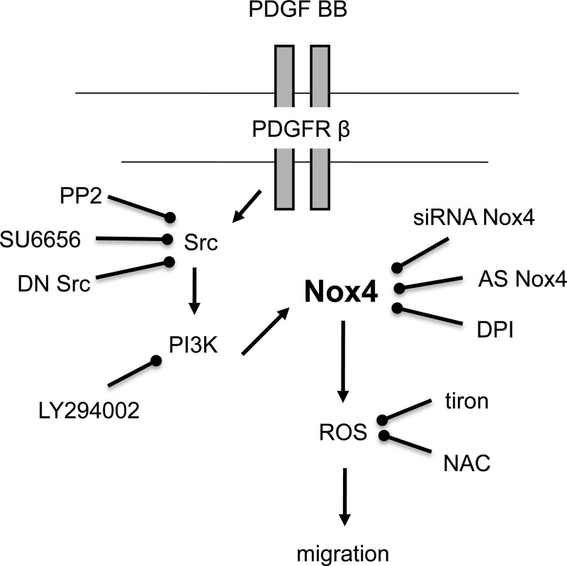 Fig. 8.