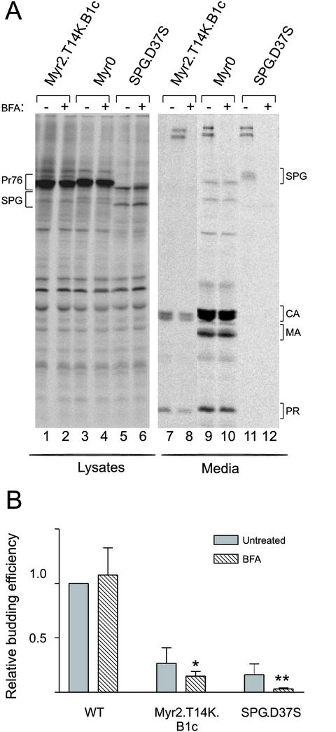 FIG. 6.