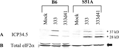 FIG. 9.