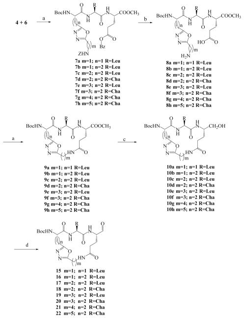 Scheme 2a