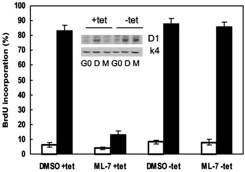 FIG. 7.