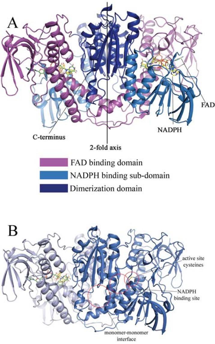 Fig. (1)