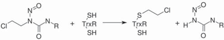 Fig. (7)