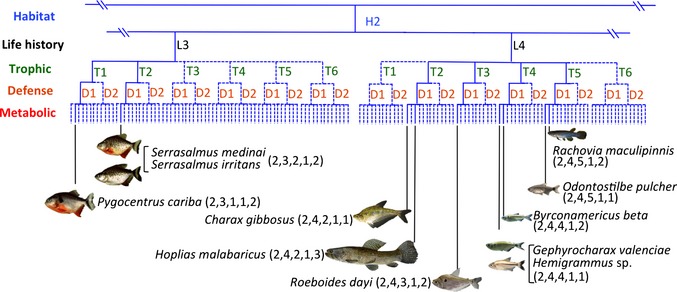 Figure 6