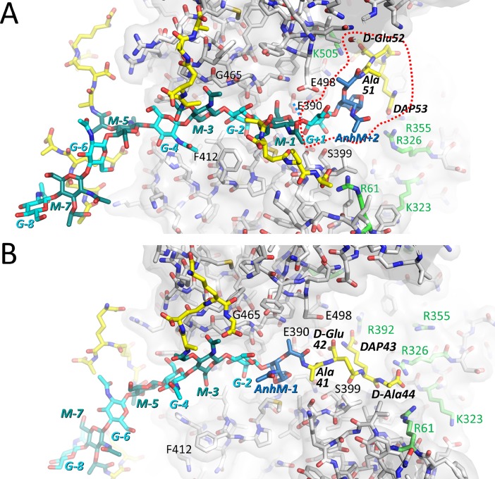 Fig 6