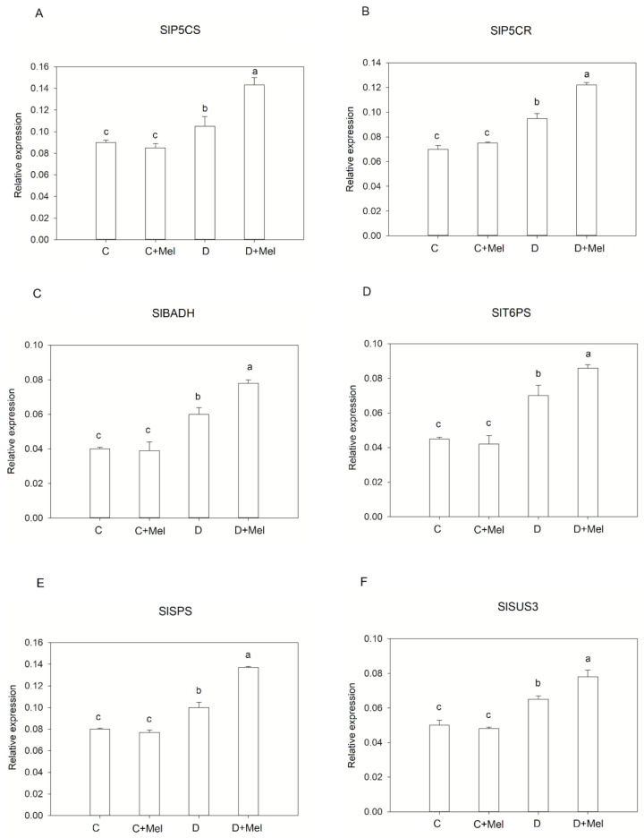 Figure 11