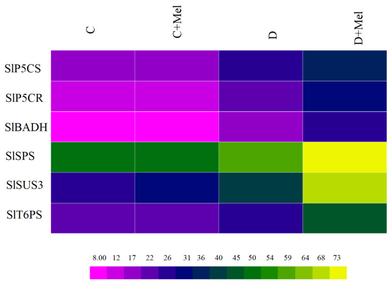 Figure 12