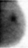 Figure 2b:
