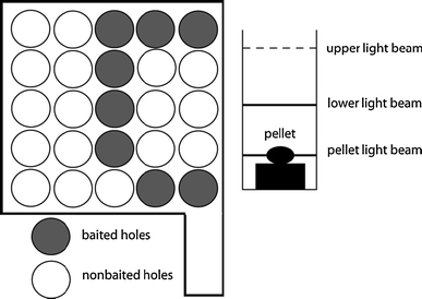 Fig. 1