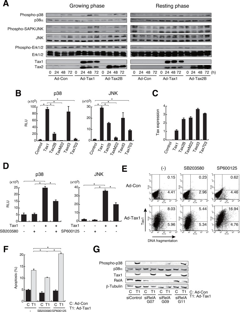 Fig 10