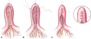 Fig. 2A-C