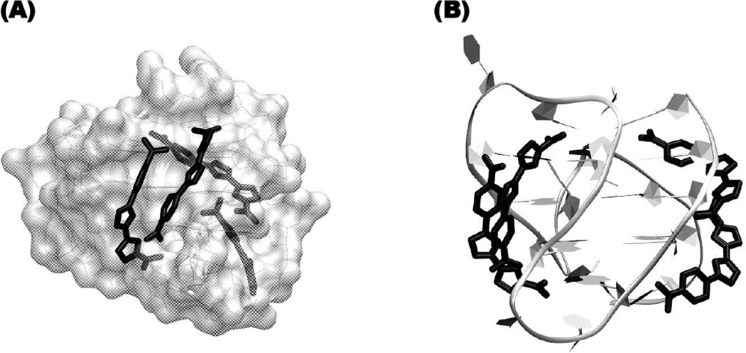 Fig. (10)