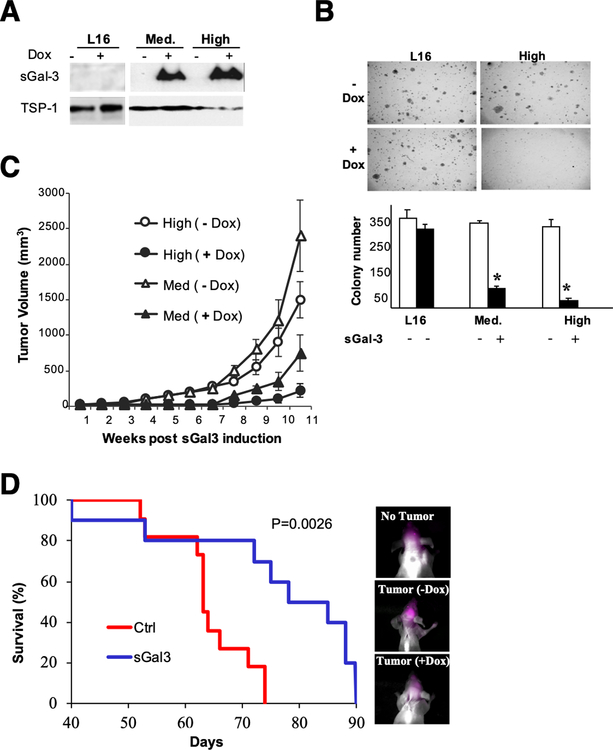 Figure 2: