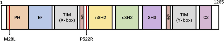 FIGURE 1