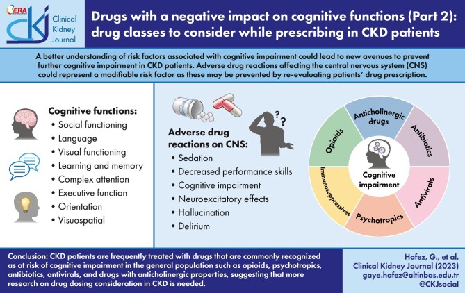 Graphical Abstract