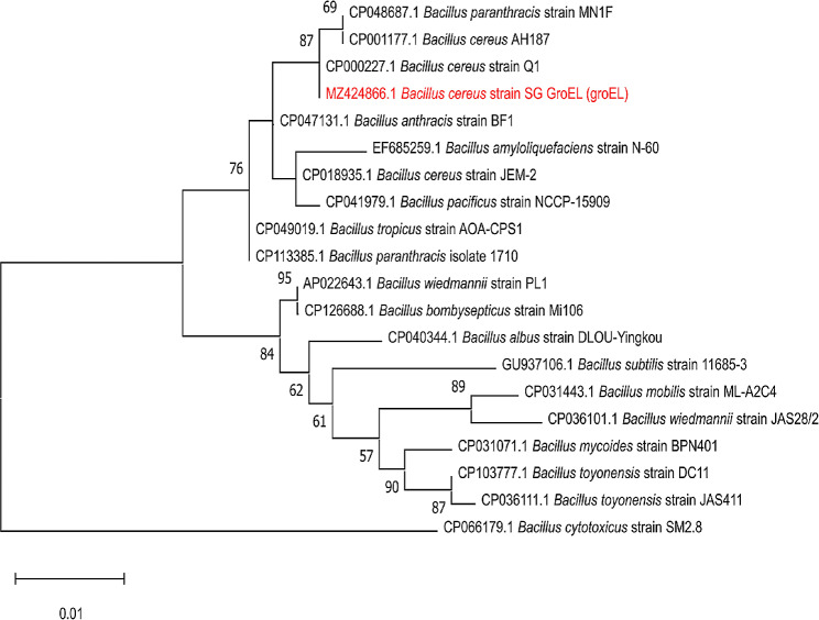 Fig. 1