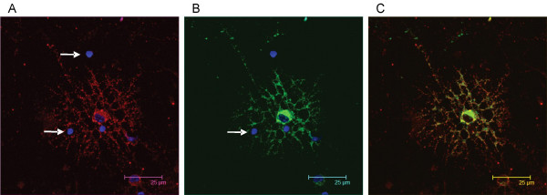 Figure 15