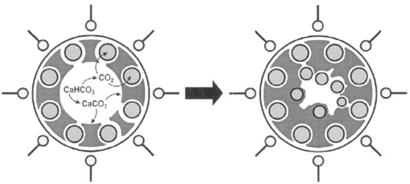 Fig. (5)