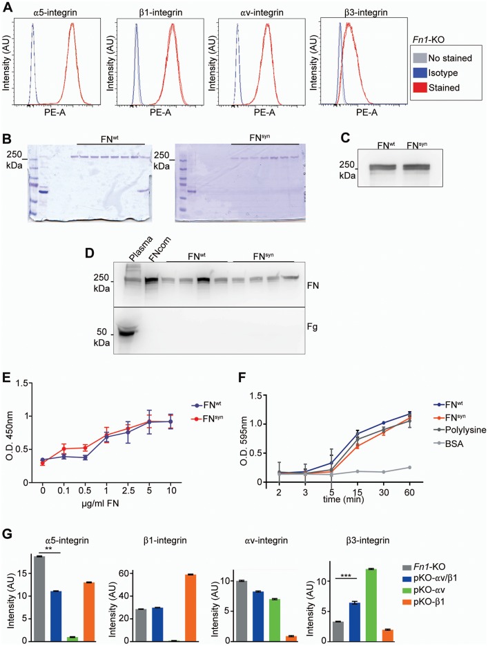 Figure 2—figure supplement 1.