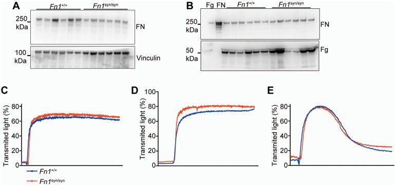 Figure 1—figure supplement 2.