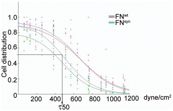 Figure 3—figure supplement 1.