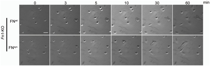 Figure 2—figure supplement 2.