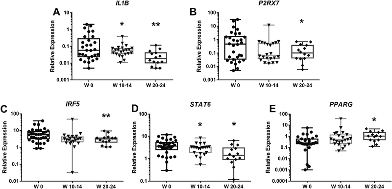 Figure 2: