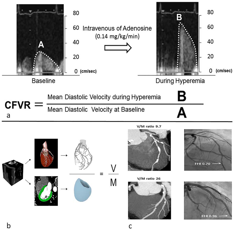 Figure 3: