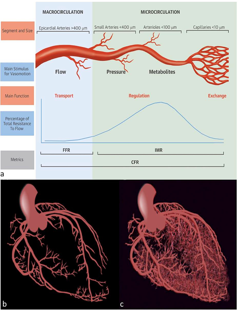 Figure 1: