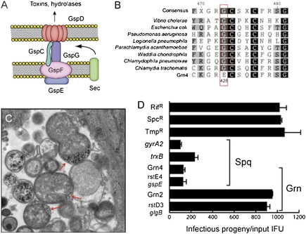 Fig. 4.