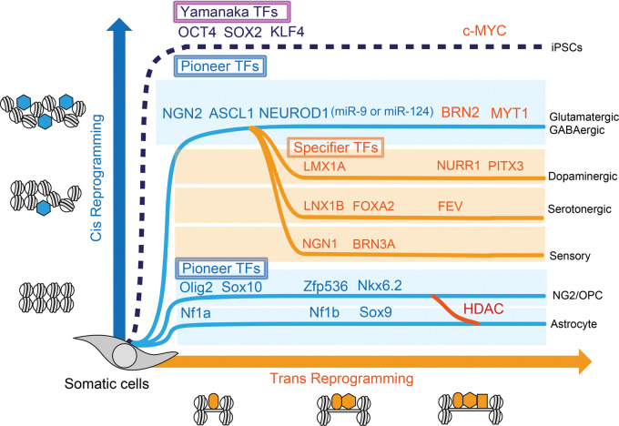 Figure 2.