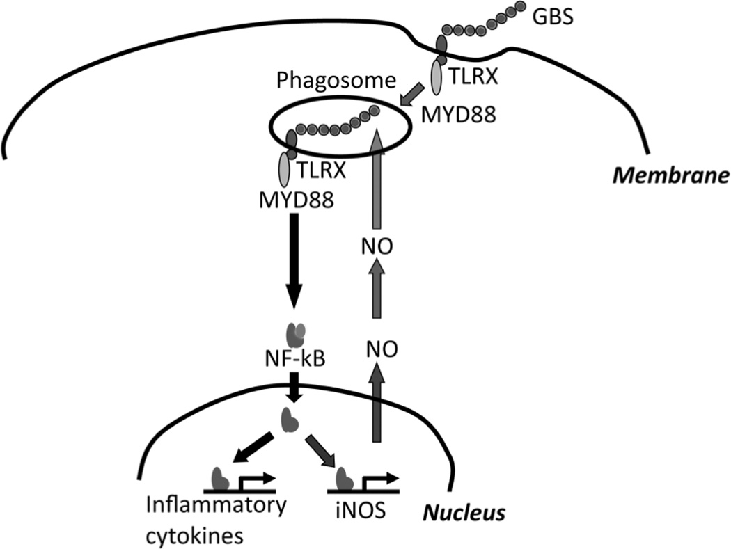 Fig. 6