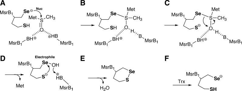 FIG. 8.