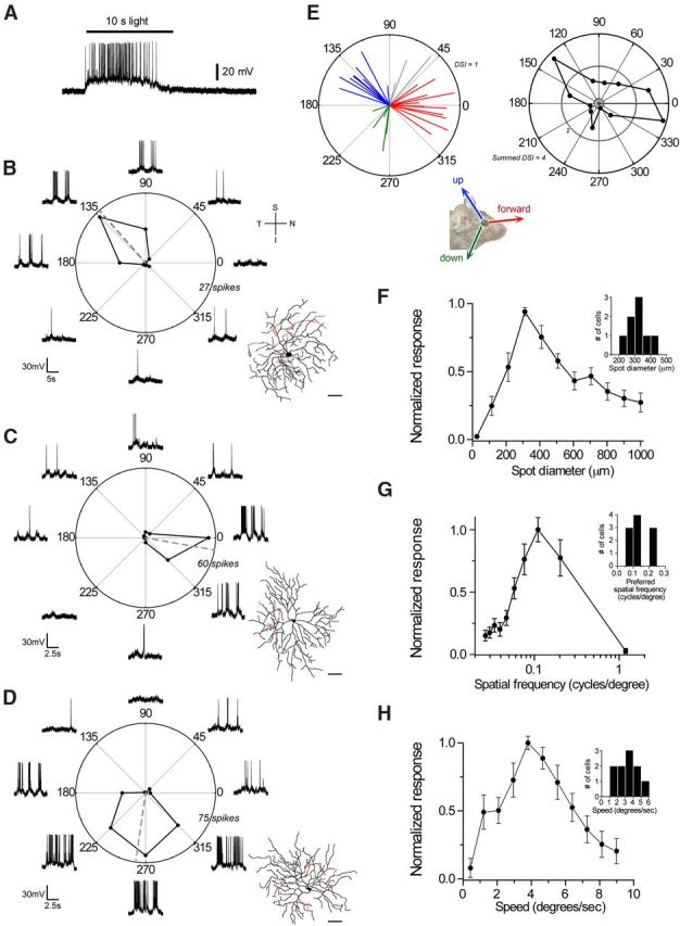 Figure 6.