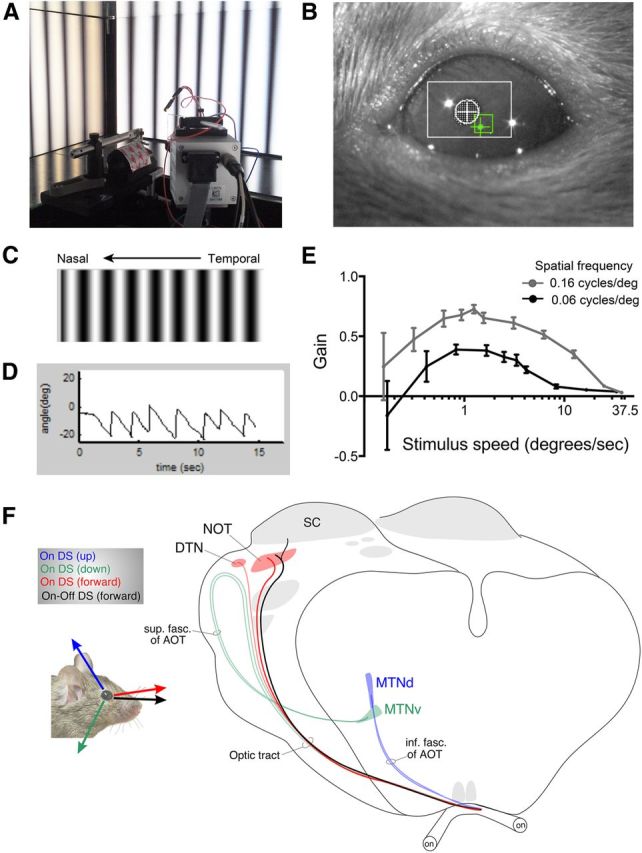 Figure 12.