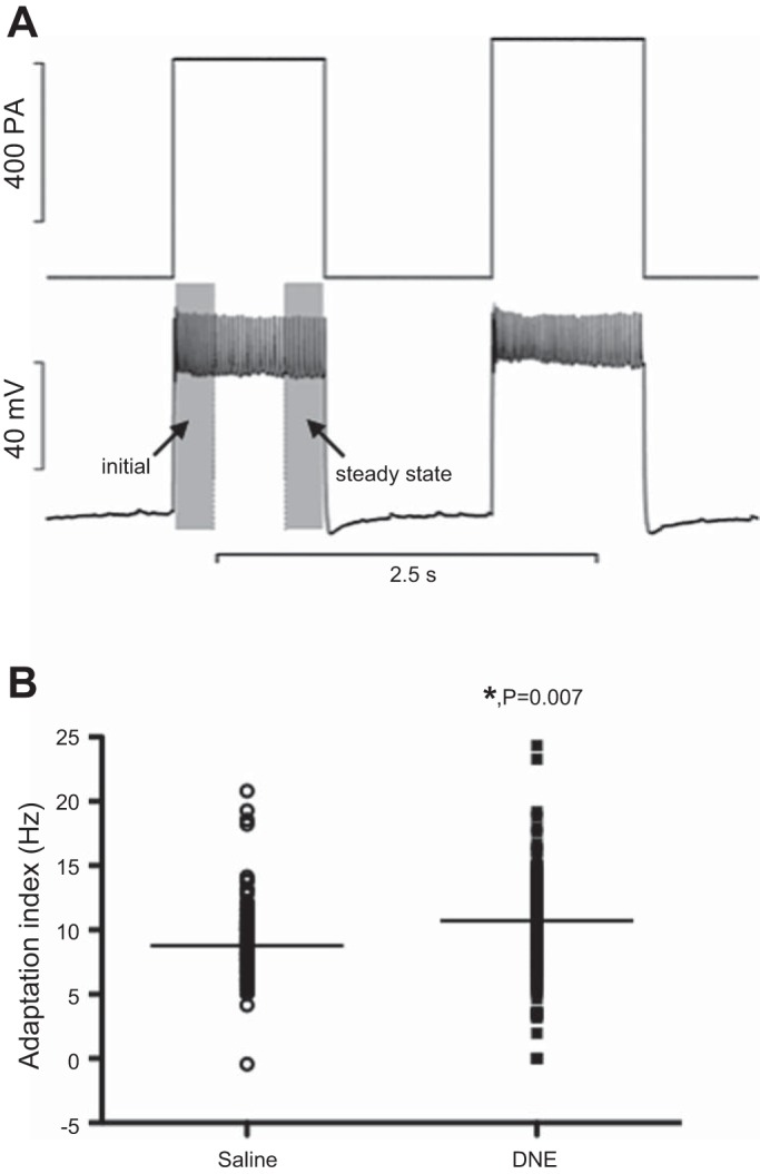 Fig. 9.