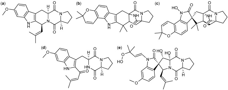 Figure 13