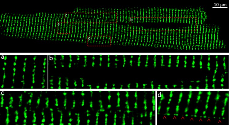 FIGURE 3.