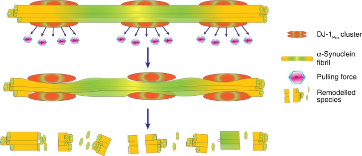 Fig. 6